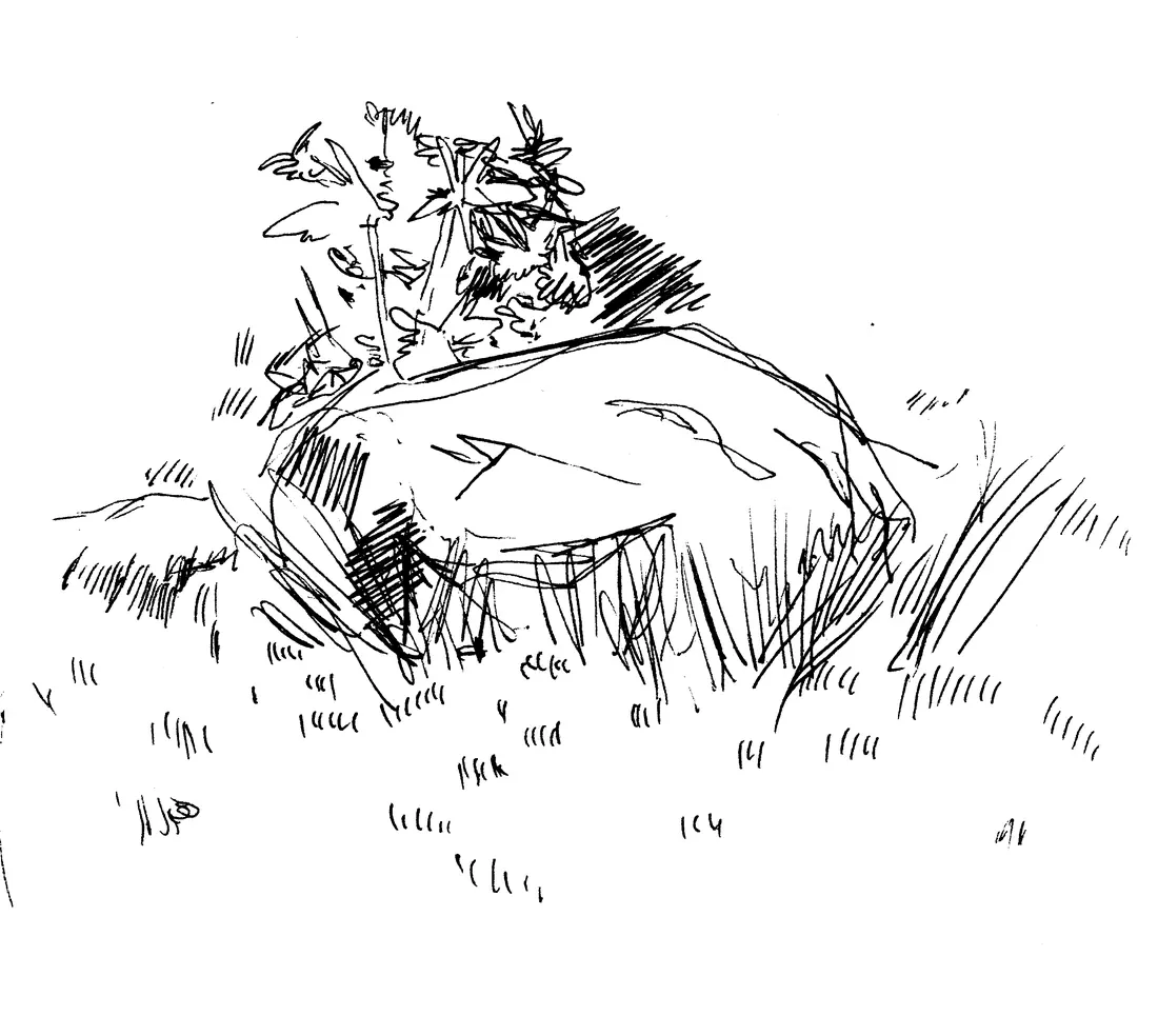 Koiranputken vihellys — Kivi, The stone